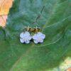 Aretes Flor Perla Blanca.
