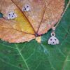 Juego de Aretes, Cadena y Dije "Leal Compañero".