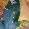 Rosario Perlado Virgen Milagrosa