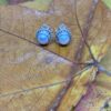 Aretes Perlas Blancas
